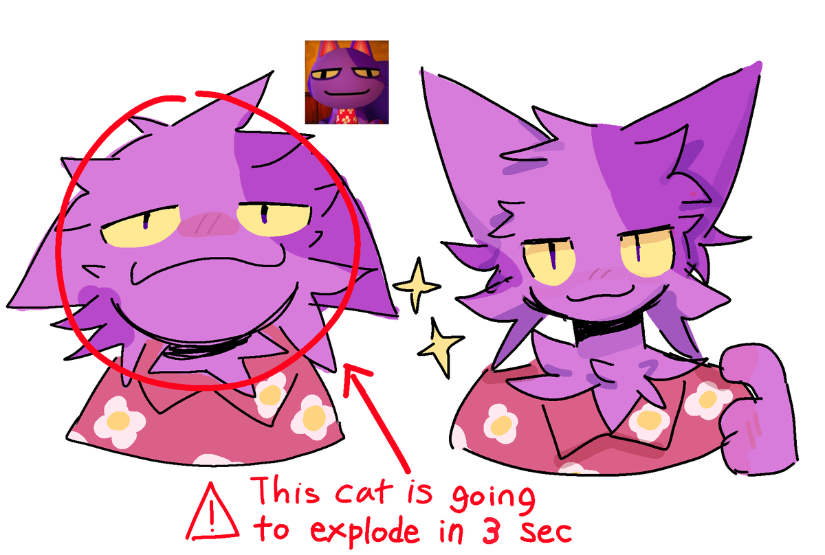 axelotsfr's tweet image. The Smuggest Cat ever