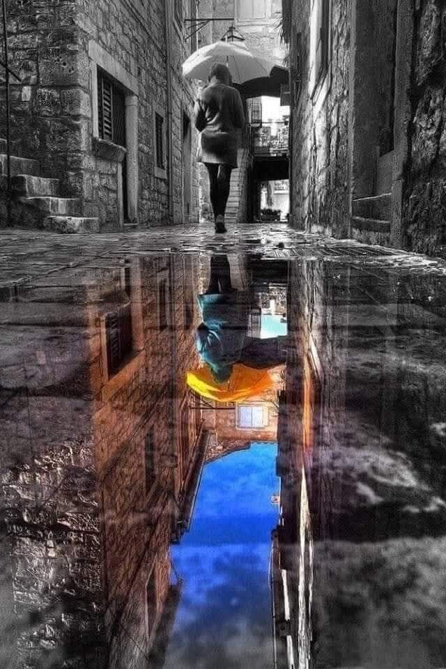 I❤️R tweet media