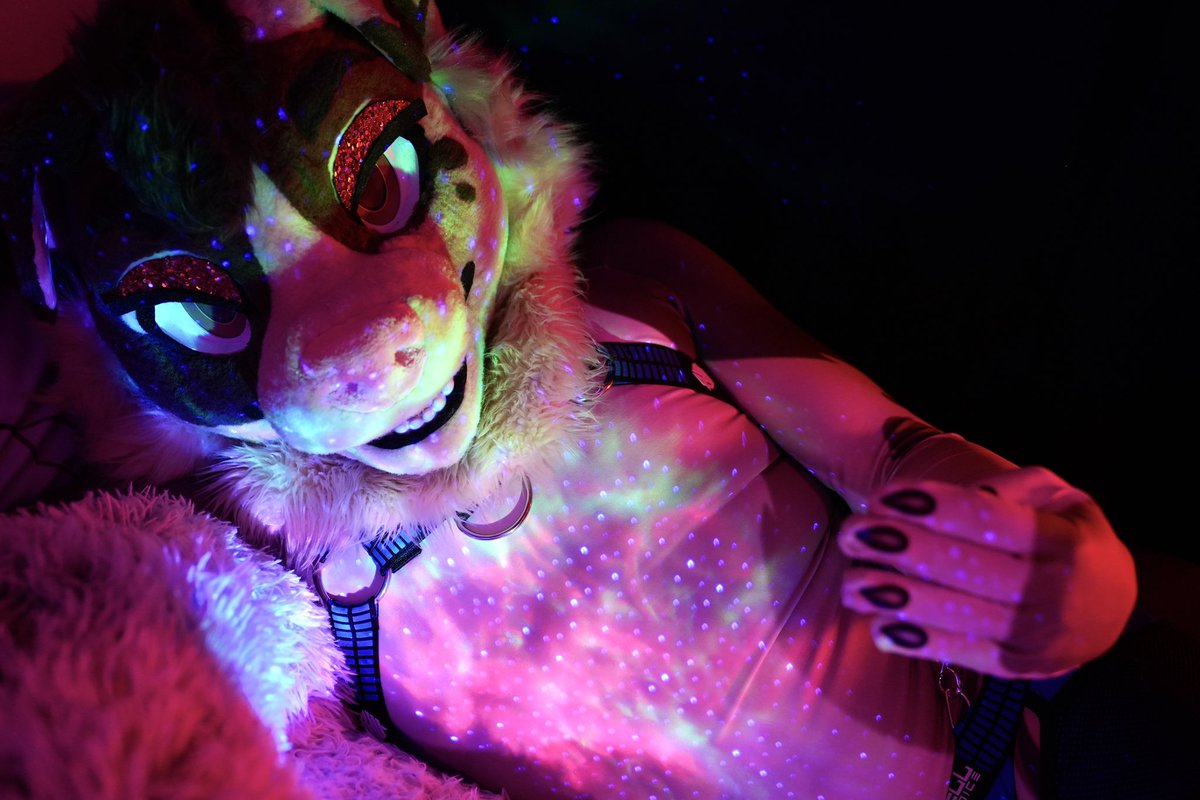 come snuggle? 

<a href="/FluffyTy19/">Tyler</a> 

📷 A7IV + 24-70 GM