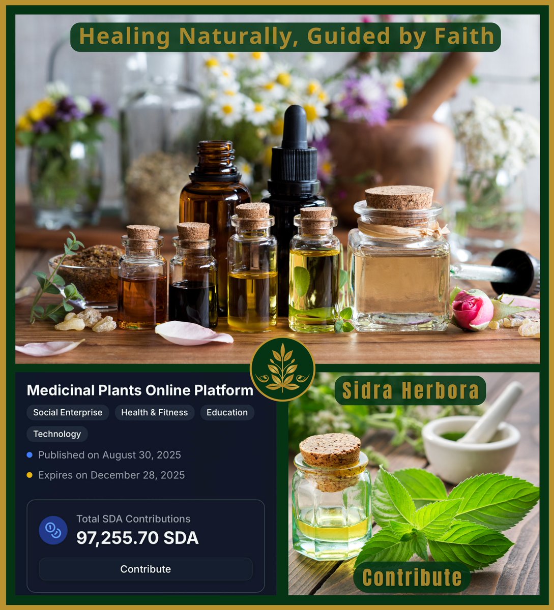 khoanm11's tweet photo. Bridging Ancient Healing with Modern Technology

✨ Sidra Blockchain meets the timeless science of medicinal plants.
Through innovation, we preserve centuries of herbal wisdom and ensure authenticity in every drop of natural essence.
🌿 Tradition meets transparency.

💚 🍃 Healing Naturally, Guided by Faith.
🔗 https://t.co/9HVLwYwMGK

📲 Telegram:👇
 https://t.co/sea7yH5V8Y

#SidraChain #HerbalMedicine #HolisticHealth #DigitalFaith