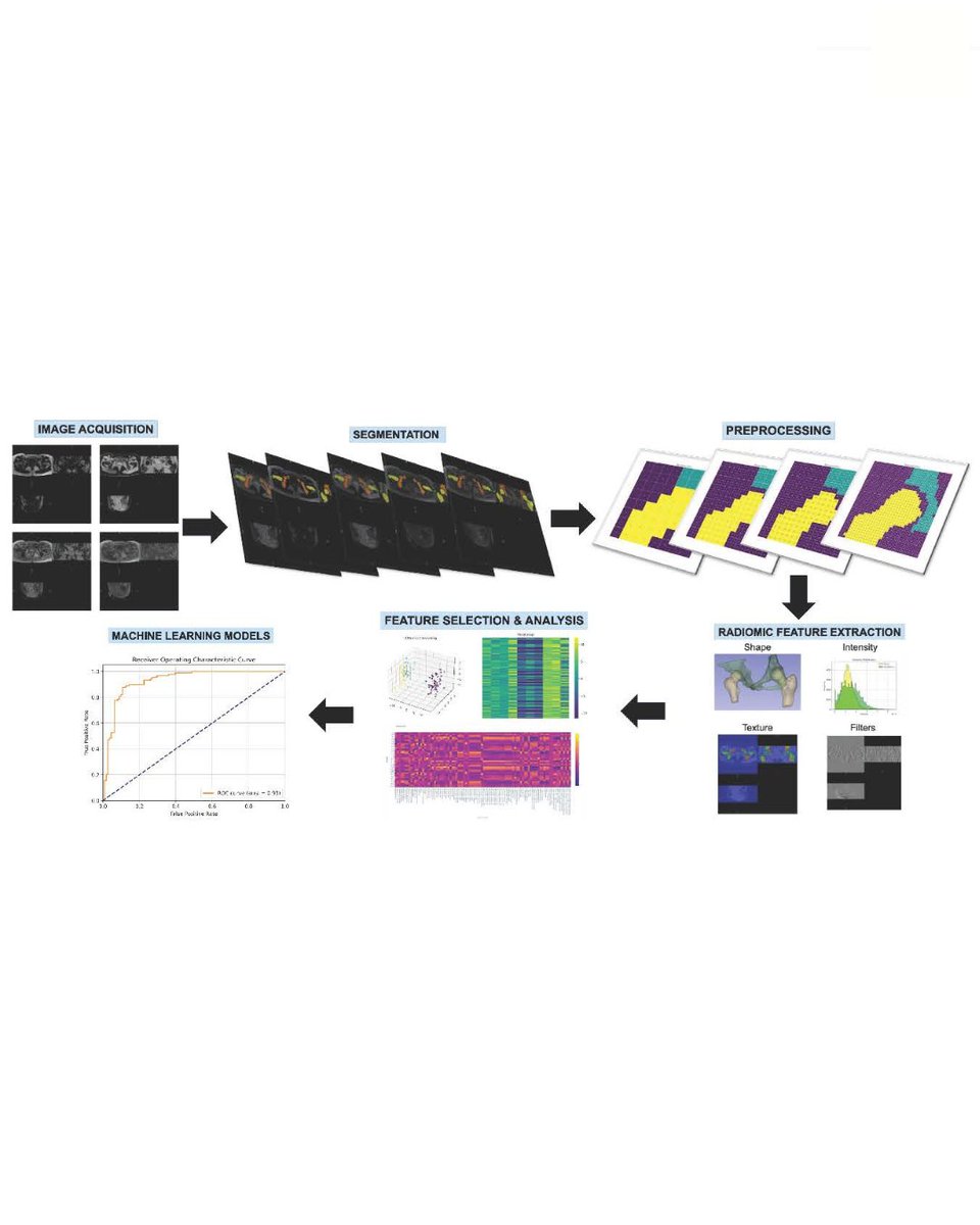 BoneJointRes's tweet photo. This review summarizes the state of the art in radiomics for femoroacetabular impingement and highlights its future applications.

#MachineLearning #Research #OpenAccess #BJR @Hari_SubPon7 @klogishetty

https://t.co/vKgIhyy9cU https://t.co/e6yRaccMlr