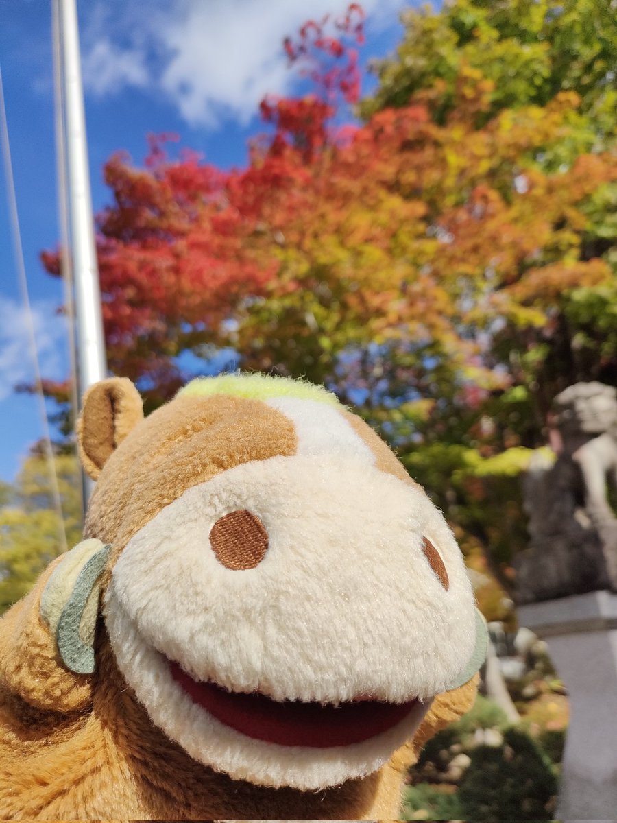 okebanbakun's tweet image. 置戸神社の境内も〜
すっかり秋のふんいき〜
うふふ〜
落ち葉のにおいが〜
秋って感じだば〜ん
#おけばんばくん
#ゆるキャラ
#置戸町