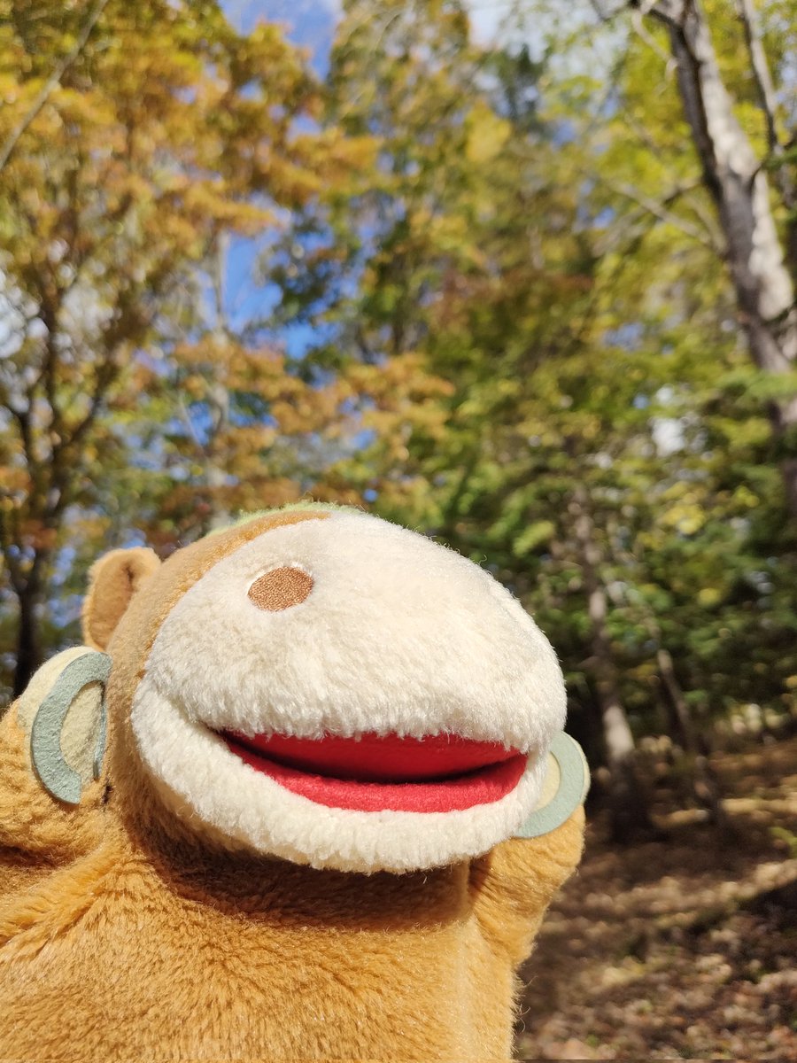 okebanbakun's tweet image. 置戸神社の境内も〜
すっかり秋のふんいき〜
うふふ〜
落ち葉のにおいが〜
秋って感じだば〜ん
#おけばんばくん
#ゆるキャラ
#置戸町