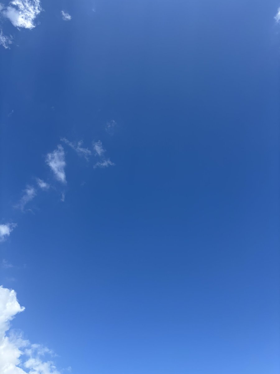 jLsEFBBJl071803's tweet image. 「離れなさい、このビッチ！」（Get away from her you bitch!）
映画「Alien2」よりEllen Ripley
1画像
映画「Alien 」1979 scena finale 
＃SigourneyWeaver
様生誕日
youtu.be/3LjY6uZH3D8?si… @YouTube

＃兵庫県西宮市

まだまだ真夏日…😰💦
お気を付けを🙏🏻
皆様良き午後のお過ごしを🍁