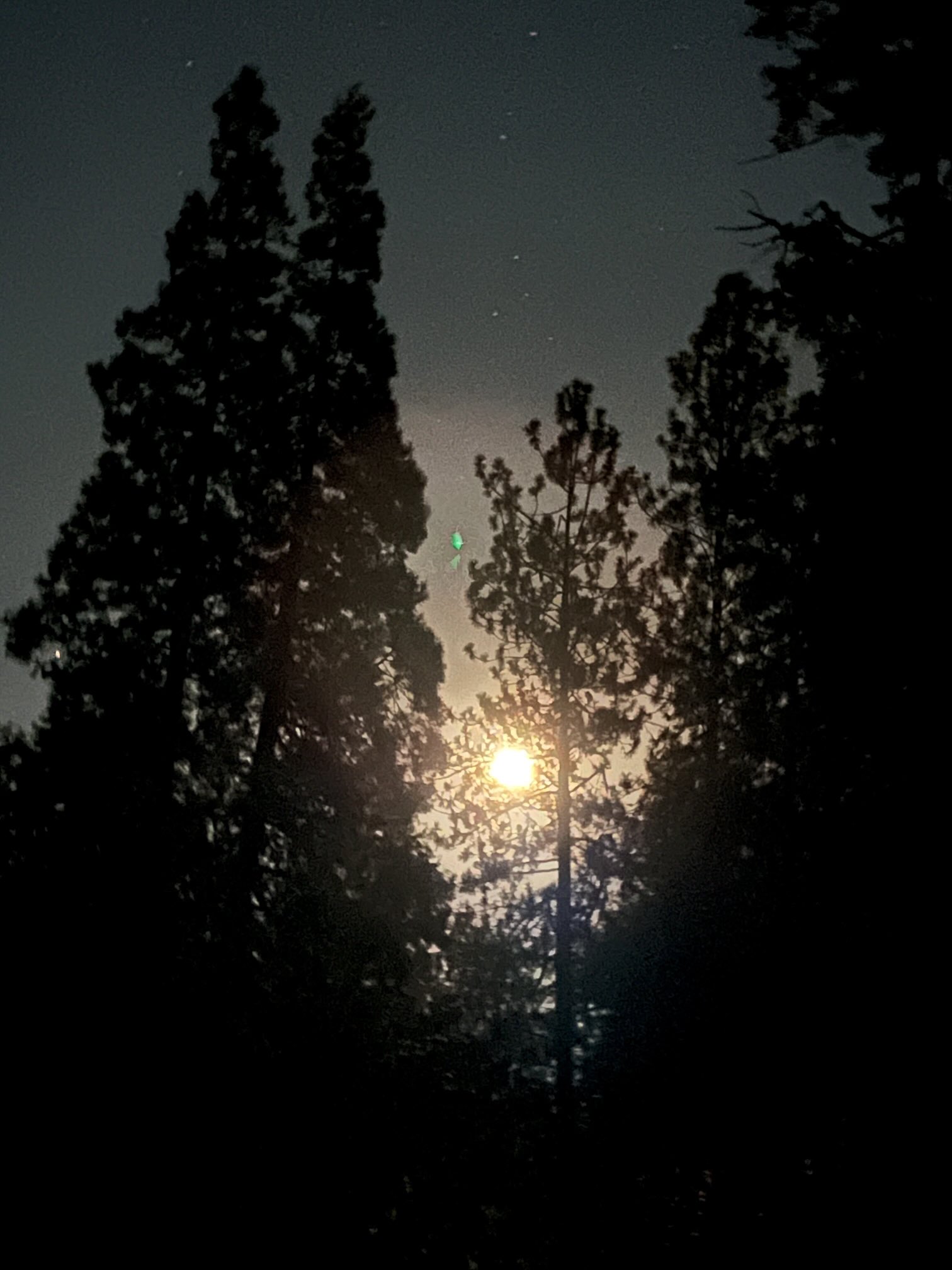 cali≠gari / 「0」補足版 (Moonrise Silhouette) Silhouettes in a