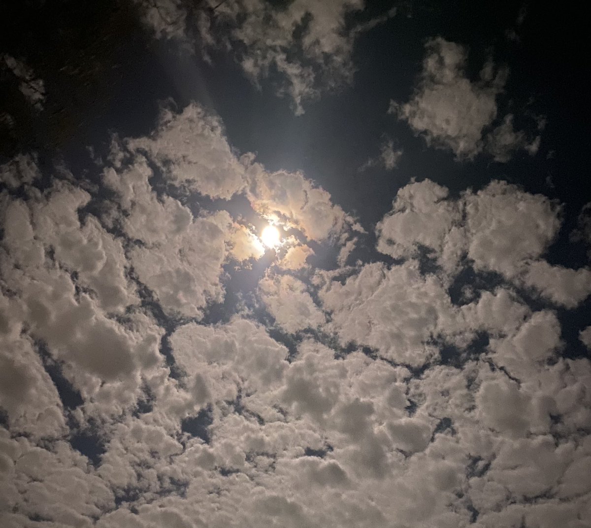 Obsessed with moonlight