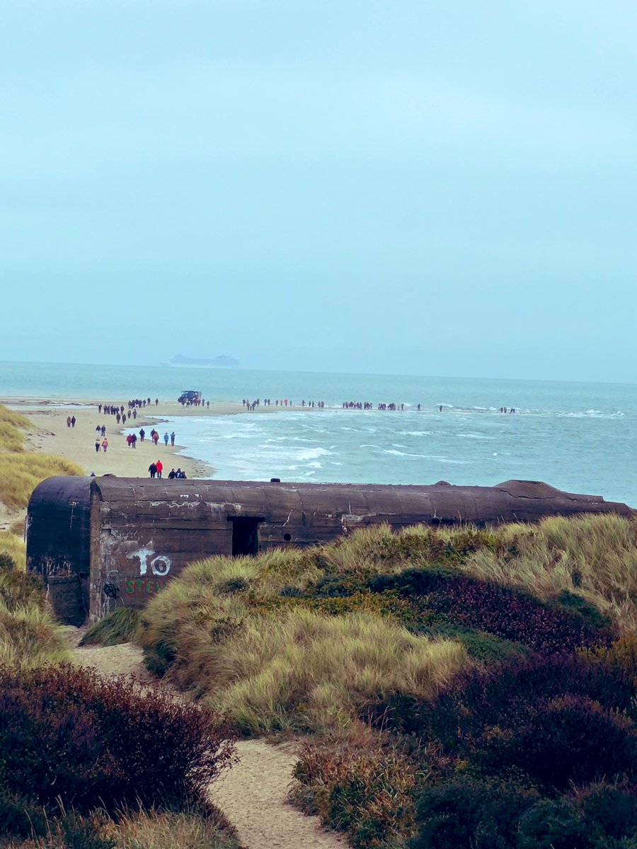 Grünfink tweet media