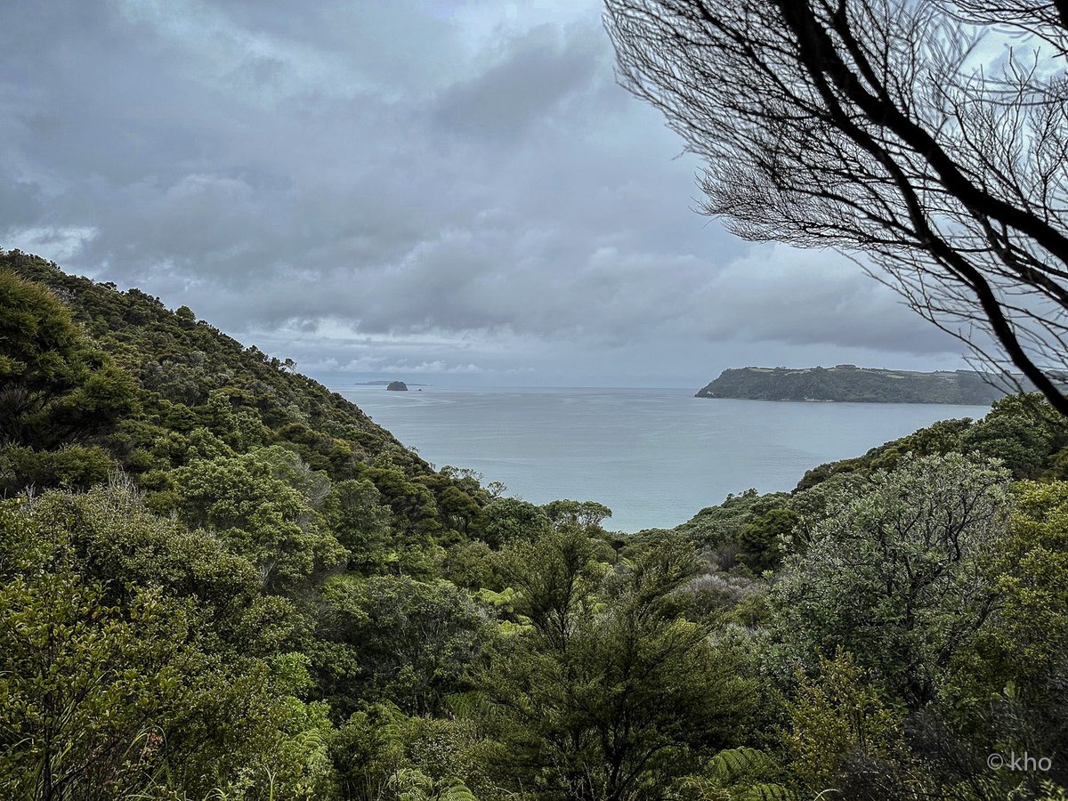 Der Himmel 
hängt tief, 
als wolle er zuhören. 

Unten atmet 
das Meer, 
ruhig, 
fast nachdenklich. 

Alles 
scheint in Zwischentönen 
zu sprechen – 
Grün, Grau, Blau. 

Eine Welt, 
die in ihrer Stille 
etwas erzählt, 
das man nur versteht, 
wenn man schweigt…🙏