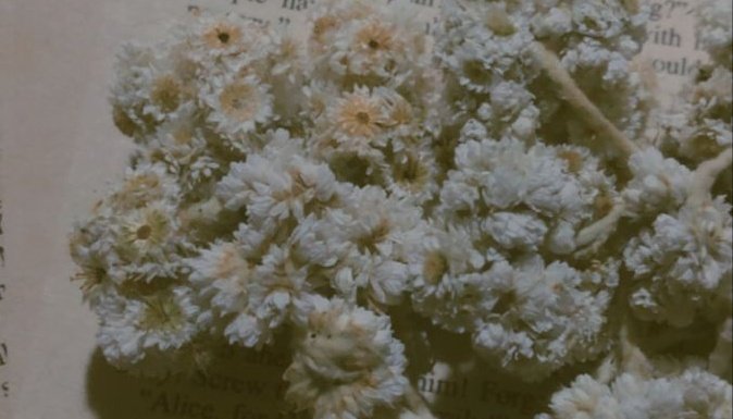 Edla ૮₍˶ᵔ ᵕ ᵔ˶ ₎ა tweet media