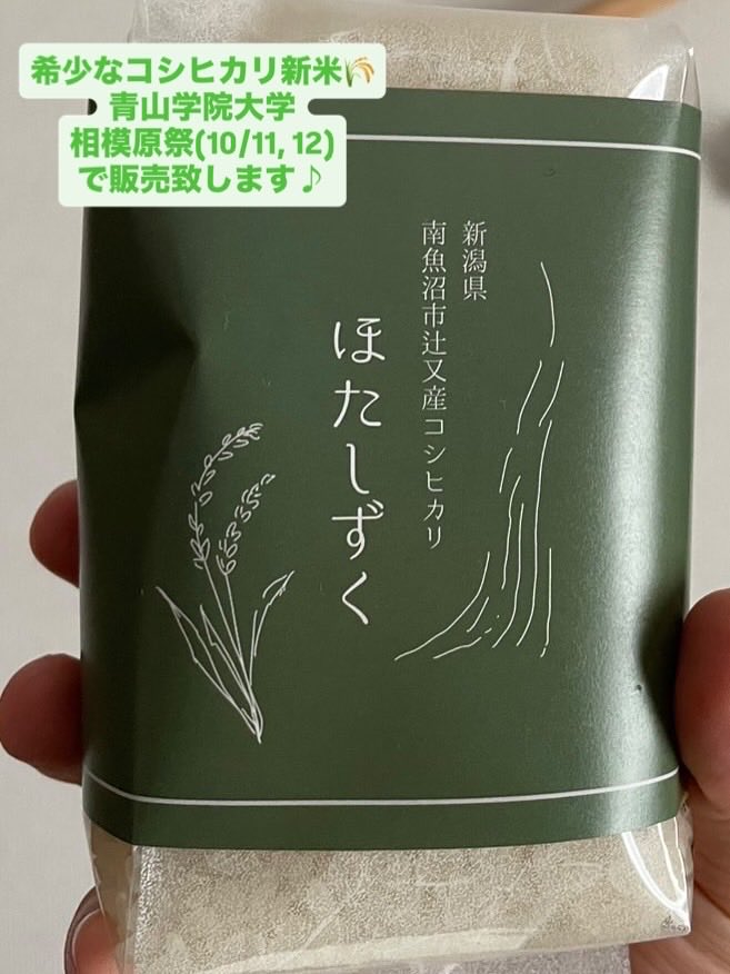 MorimotoSeminar's tweet photo. 今週末、南魚沼市辻又産コシヒカリ「ほたしずく」新米を青山学院大学 相模原キャンパスD棟1階108教室にて販売致します。

辻又や大学生との関わりについての説明もございます。

コミュニティ人間科学部でどんなことをやっているのか、知りたい学生の方も大歓迎です♪

ご来場をお待ちしております。 https://t.co/F5wtKQg2ix