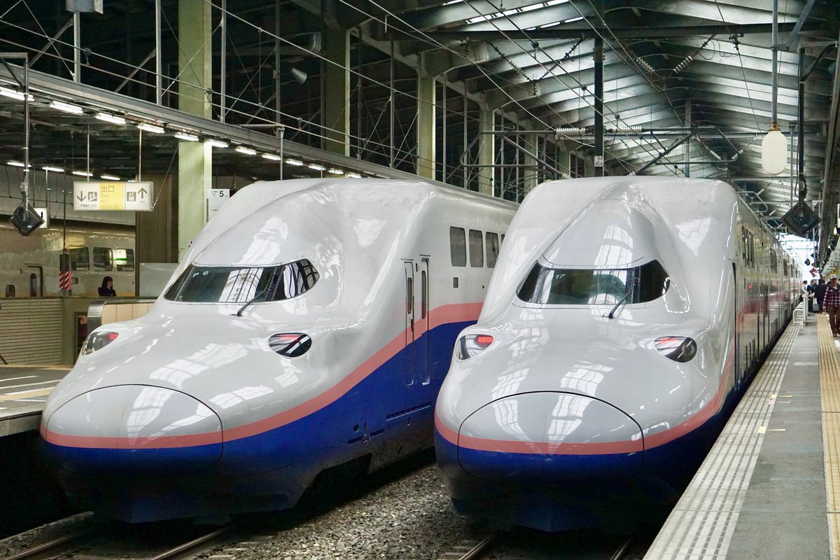 むーちゃんページ kp-taikinfever_____06_44f61096