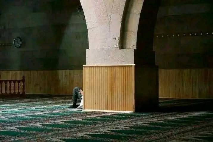 "أستودعُ الله أموري كلّها، 
إن لم يكن ربّي لها، فمن لها؟"♡⁩
صباحكم هنا 🌹❤️