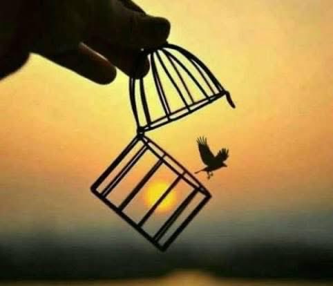 أحيانًا لا يُفتح وعيك على حقيقة ما تملك إلا بعد أن تُجردك الحياة من أشياء كنت تظن أنّها أثمن ما لديك
حتى تأتي الخسارات الكبرى كمعلم قاس لكنها تكشف لك حجم ما يظل بين يديك وتجعلك ترى أن ما كنت تعدّه تفصيلًا صغيرًا هو في الحقيقة جوهر العيش 
حينها تصغر المصائب أمام عينيك وتهون الجراح