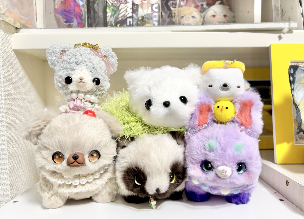 29.アートドール☆cocoperi1984☆オッドアイ白虎（小虎） 29.アートドール☆cocoperi1984☆オッドアイ白虎（小虎）