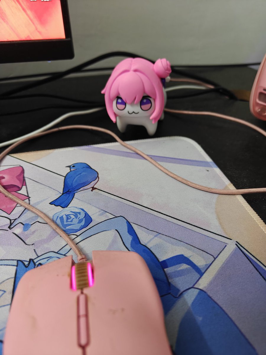 轩啾啾啾啾啾啾 tweet media
