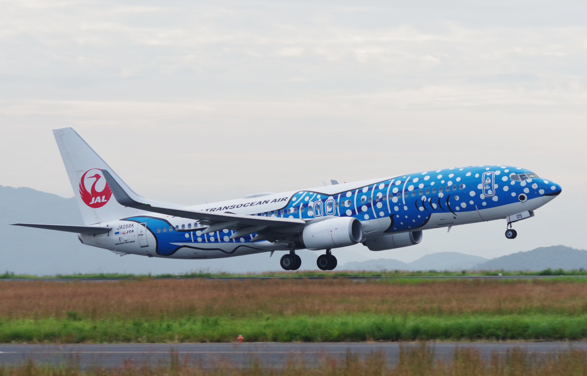 わふソニ( ・8・)/ﾐ✈︎ on X: 