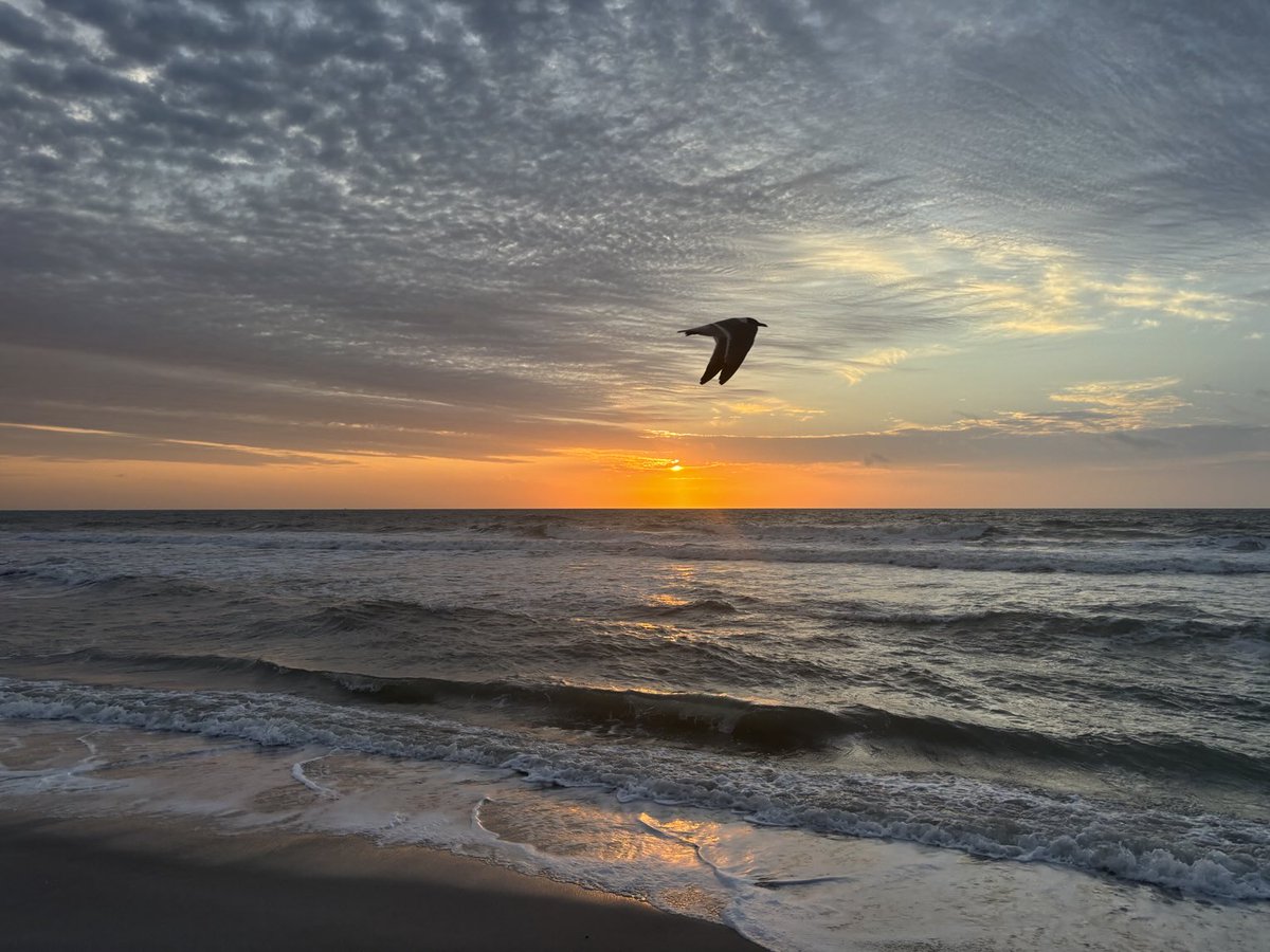valkerie777's tweet image. Good morning from #Florida #sunrise #beachlife
