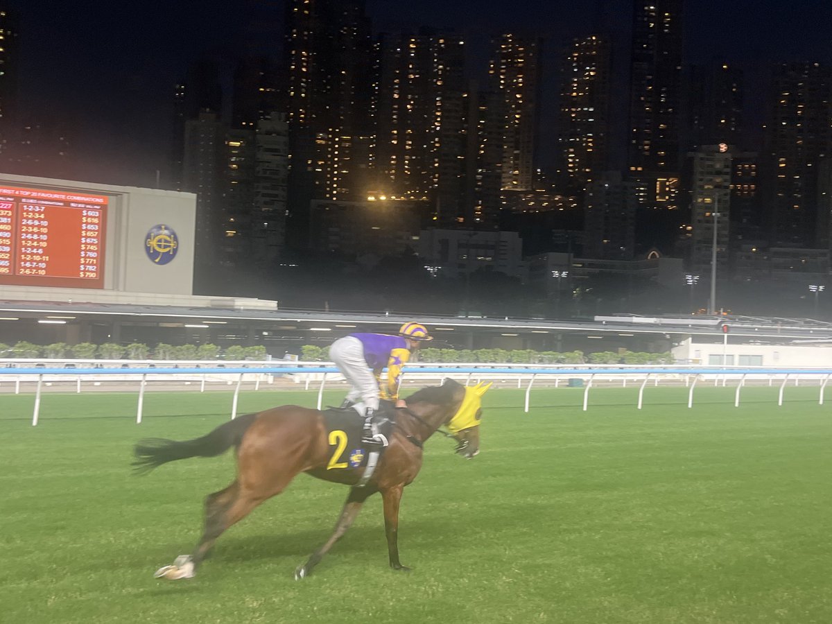 Decided to watch trackside #hkracing #happyvalley <a href="/HongKong_Racing/">Hong Kong Racing</a>