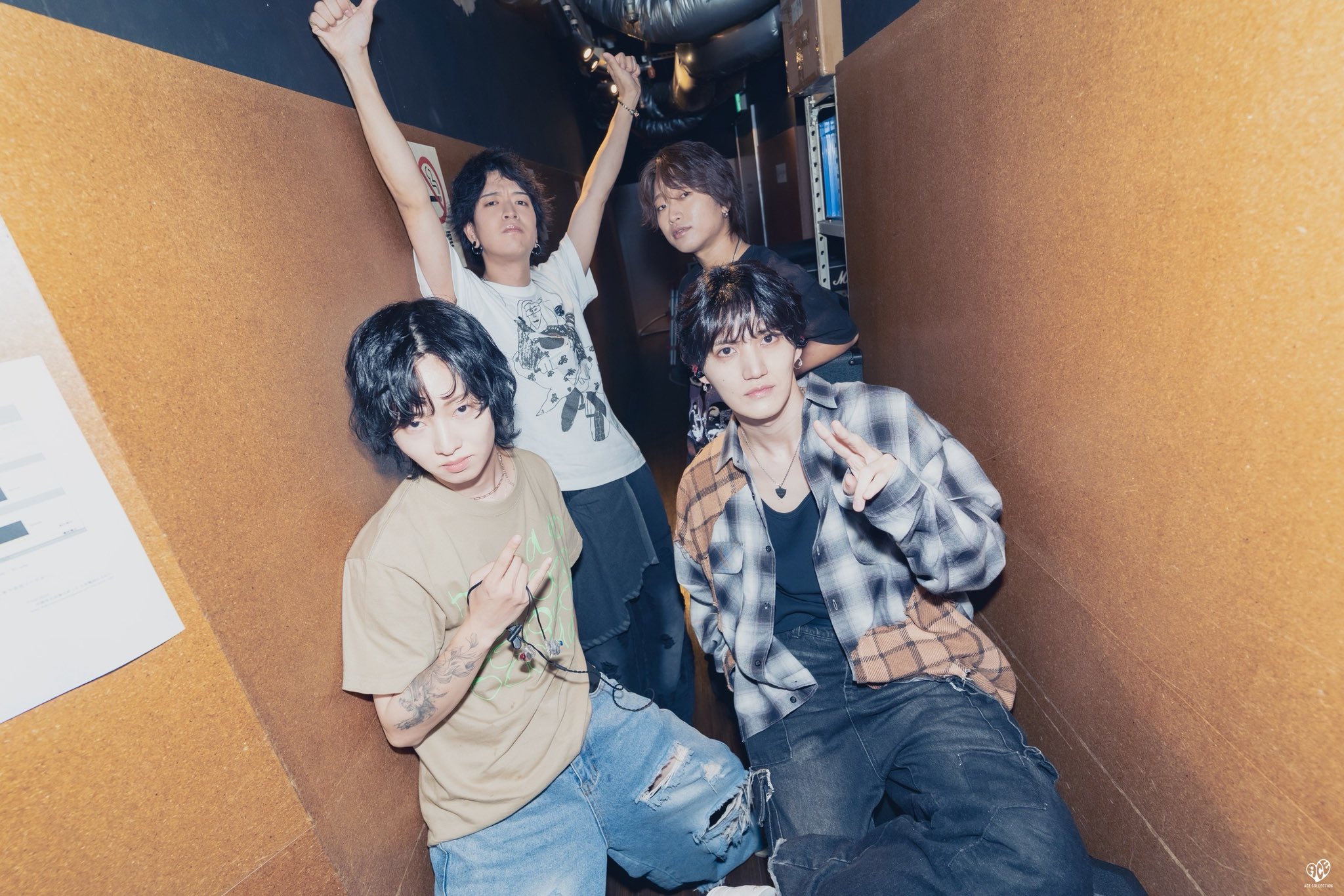 ACE COLLECTION (@AceCollectionJP) / X