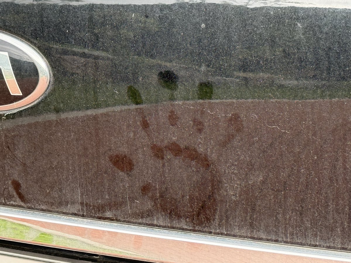 대체 뭘까....🤔