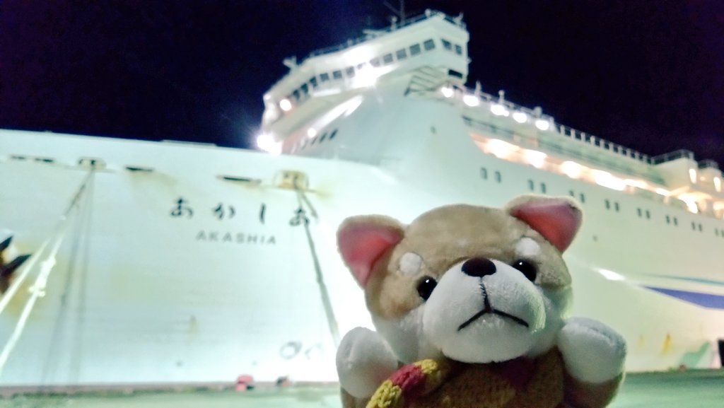 MY14987's tweet photo. 来年引退するフェリーに乗って北の大地へ冒険だワン！ #ぬい撮り     #あかしあ　#新日本海フェリー　#北海道 https://t.co/QUwS3dNkcc