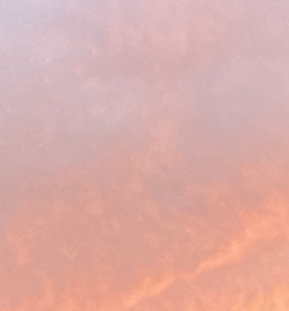 penseera's tweet photo. みるみる部屋がこの色になっていった今日の夕暮れ https://t.co/Xf28TJTH0U