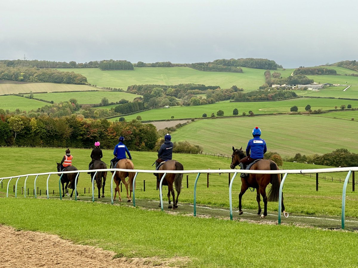 Kirsty Payne tweet media