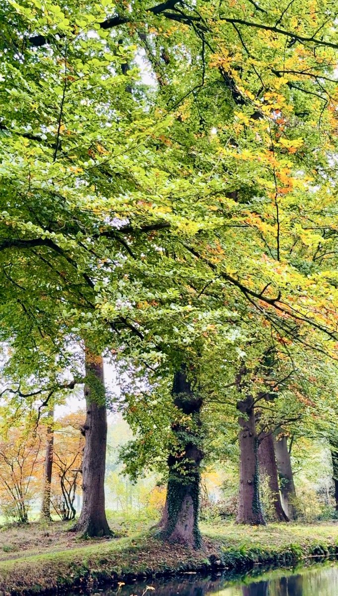 Groeten uit Diepenheim

#langshetwandelpad #wandelen #Twente #HofvanTwente