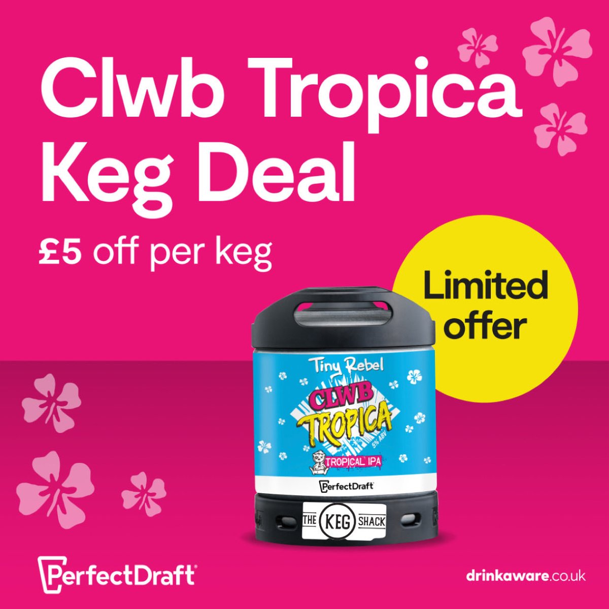 THE KEG SHACK tweet media