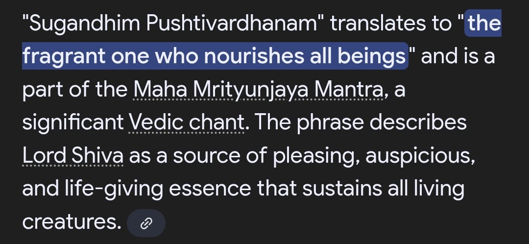 im_jrish's tweet image. &quot;Sugandhim Pushtivardhanam&quot;

Le Akber ke L...padh le..
Ohh tu mat padhiyo ye Maha Mahamrityunjaa Marta ka ek bhag hai...tu padhega toh hindu ban jayega..

Jab tumhare ola uber paida bhi nahi hue the tab tak hum Hindu sab bana ke chhod chuke the..