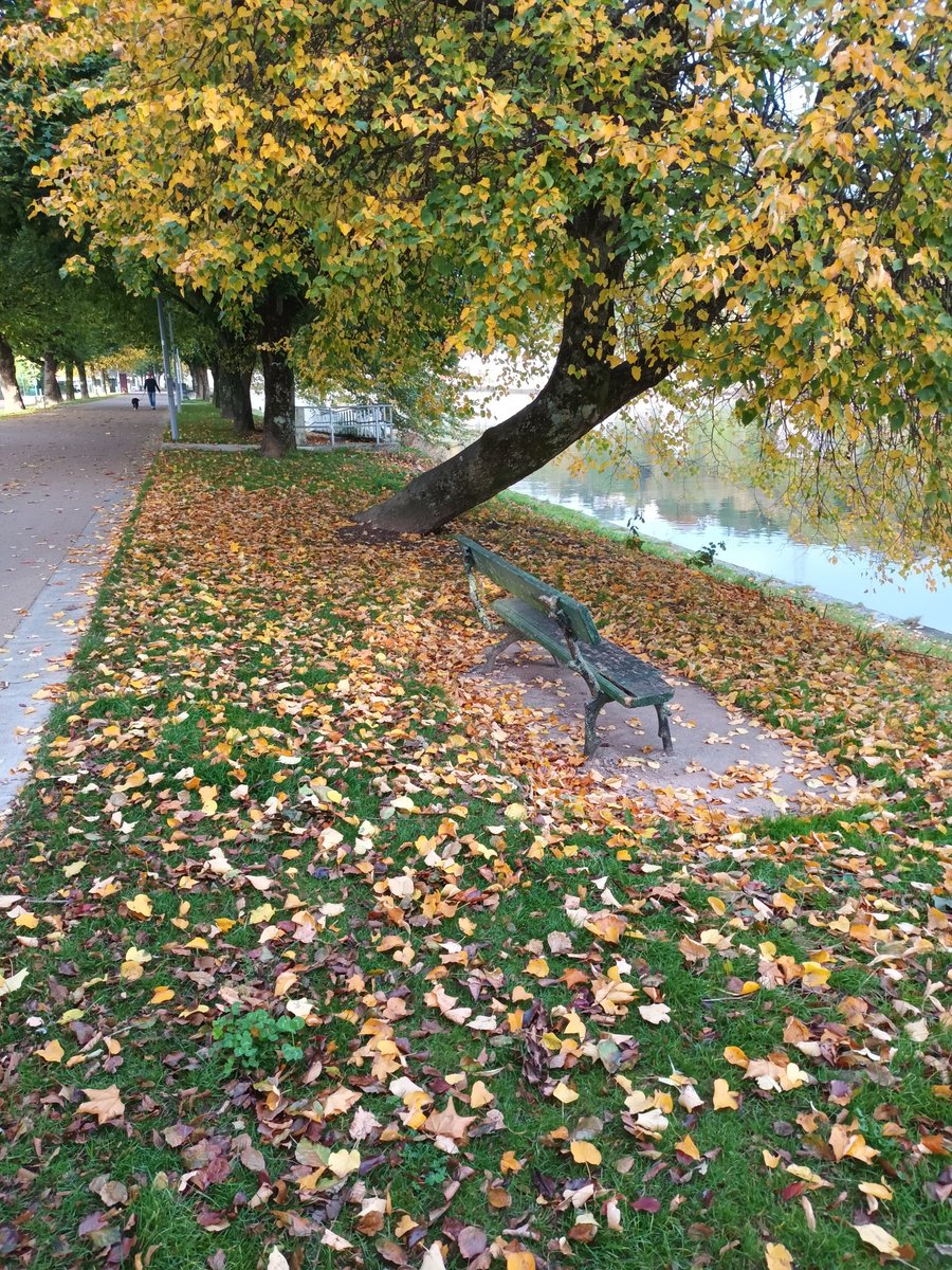 Marylaw59112593's tweet image. Early morning walk pic 💚💚💚
