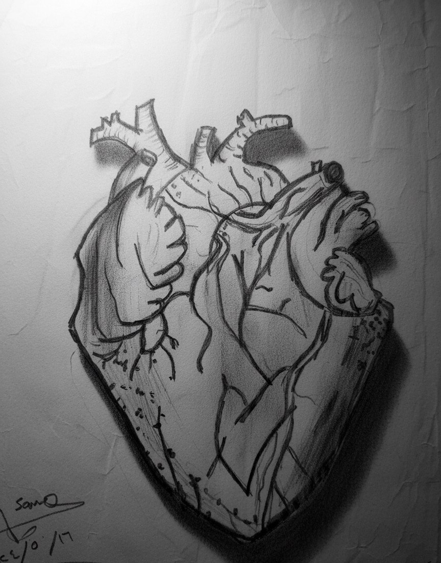 HwaihiSama62368's tweet image. This is not just a drawn heart; it’s the bleeding heart of Gaza. Every line tells a story of pain, every vein pulses with loss, and every corner screams in silence. A heart bleeding pain, yet refusing to stop beating. ❤️‍🩹

#HeartOfGaza #GazaBleeds
#EndlessSuffering