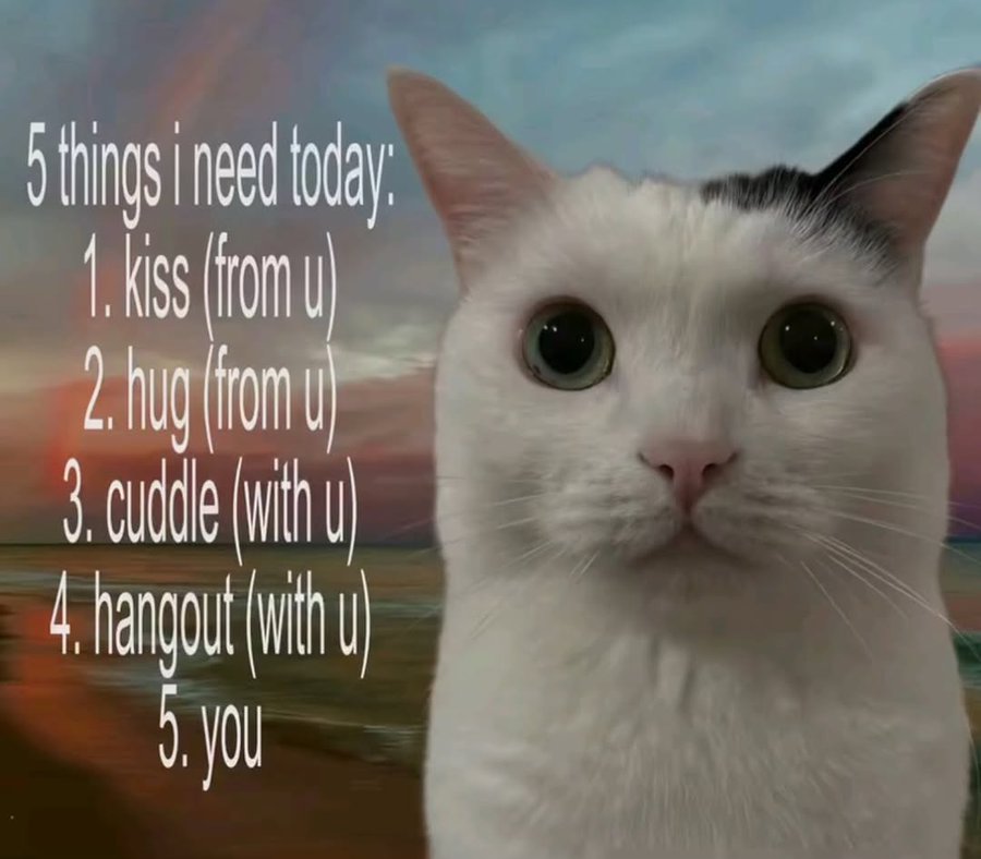 marriednotperfect (@marriednotperf1) on Twitter photo 