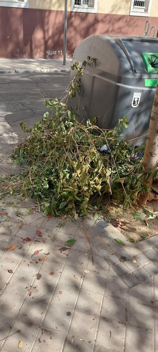 ALPozuelo's tweet photo. @Lineamadrid , en los contenedores que están enfrente de calle Tercio 34, tienen desde hace más de una semana un montón de ramas de árbol sin recoger.  ¿Pueden recogerlo? https://t.co/LpYgeslE4H