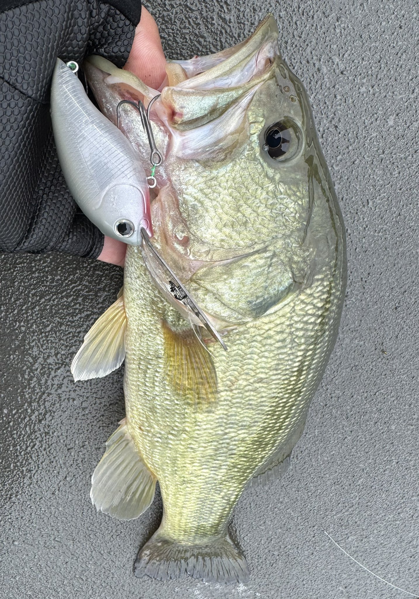 ルアー・フライ mpblures ルアー・フライ mpblures MPB LURES