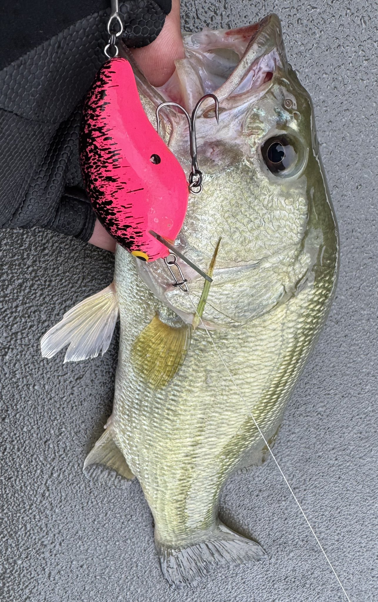 ルアー・フライ MPB LURES ルアー・フライ MPB LURES MPB LURES