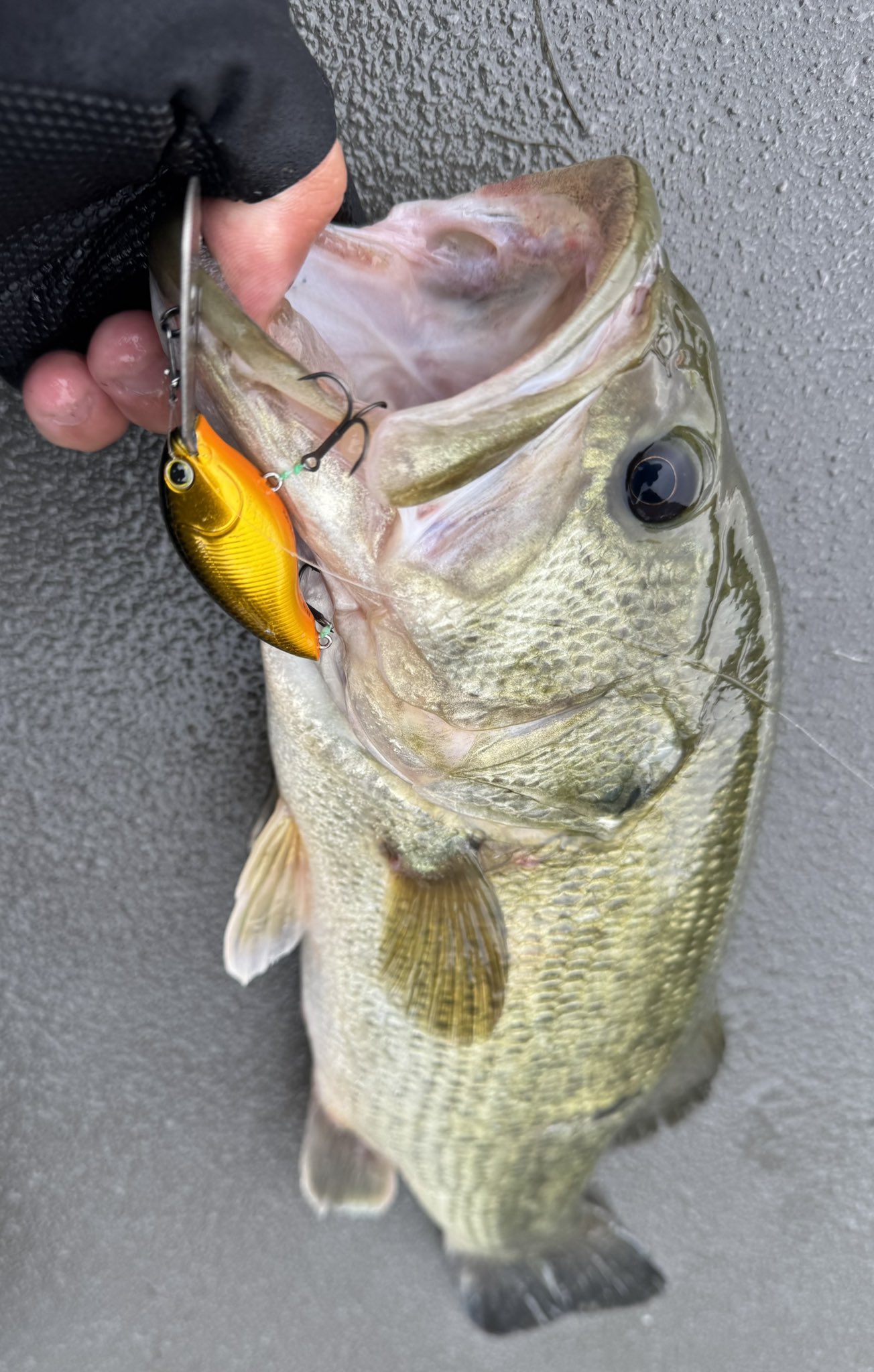 Ryo Sakurai【MPB LURES】【GRAVEL】 on X: 