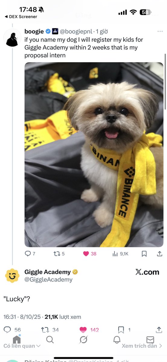 Ngoạ Long tweet media