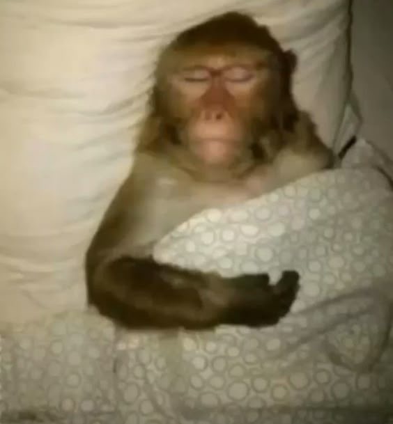 Vocês sexta:                          Eu sexta: