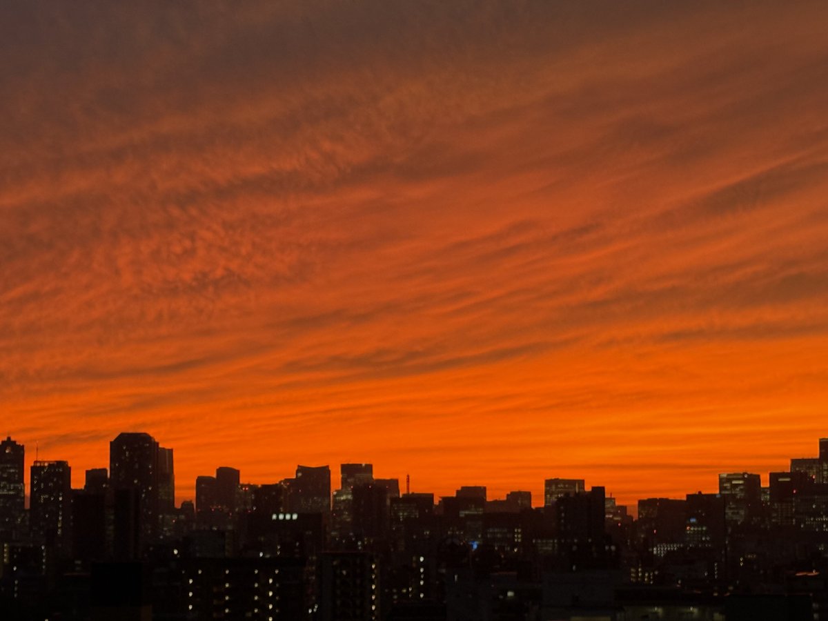 真っ赤な #夕焼け
台風の影響なのかなぁ