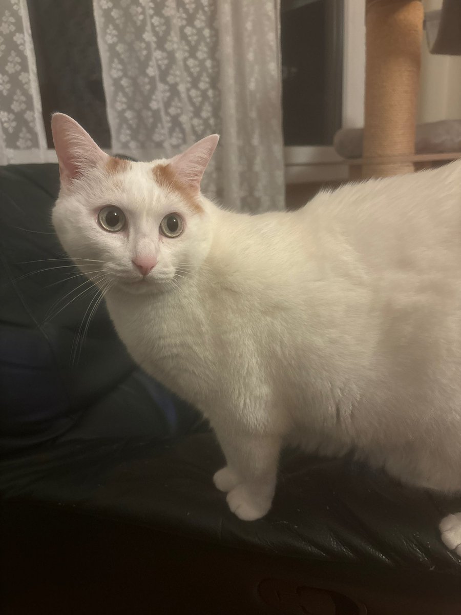 Gm legends ⛩️

What’s the plan for today? ⛩️