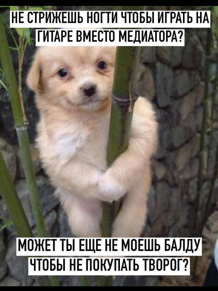 𝕾𝖙𝖆𝖓𝖑𝖊𝖞 tweet media