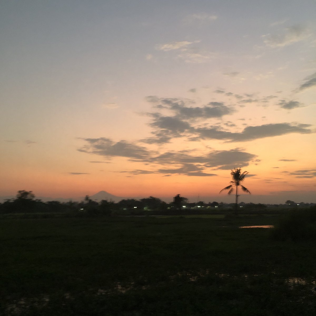 pineyz_'s tweet image. cantik bgt 😭✨💗