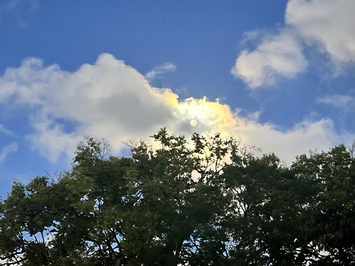 kimberlygrigsby's tweet photo. Even in the morning... light by the moon. #HunterMoon https://t.co/niawHo7rHY