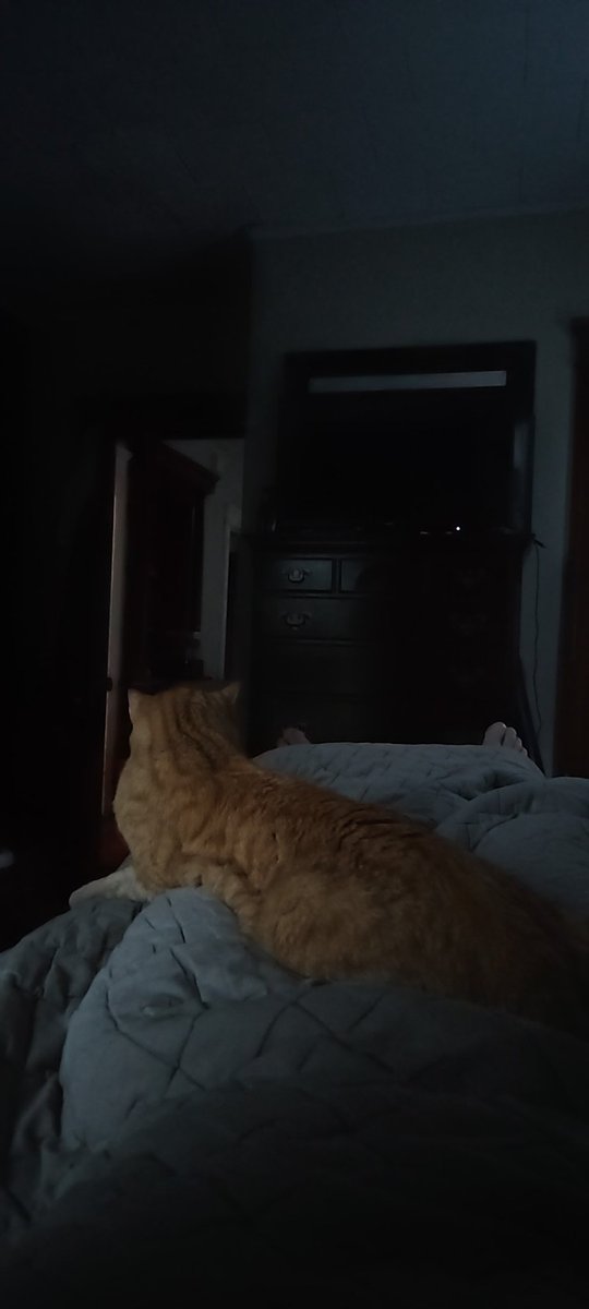 CaseyBenchLife's tweet image. 