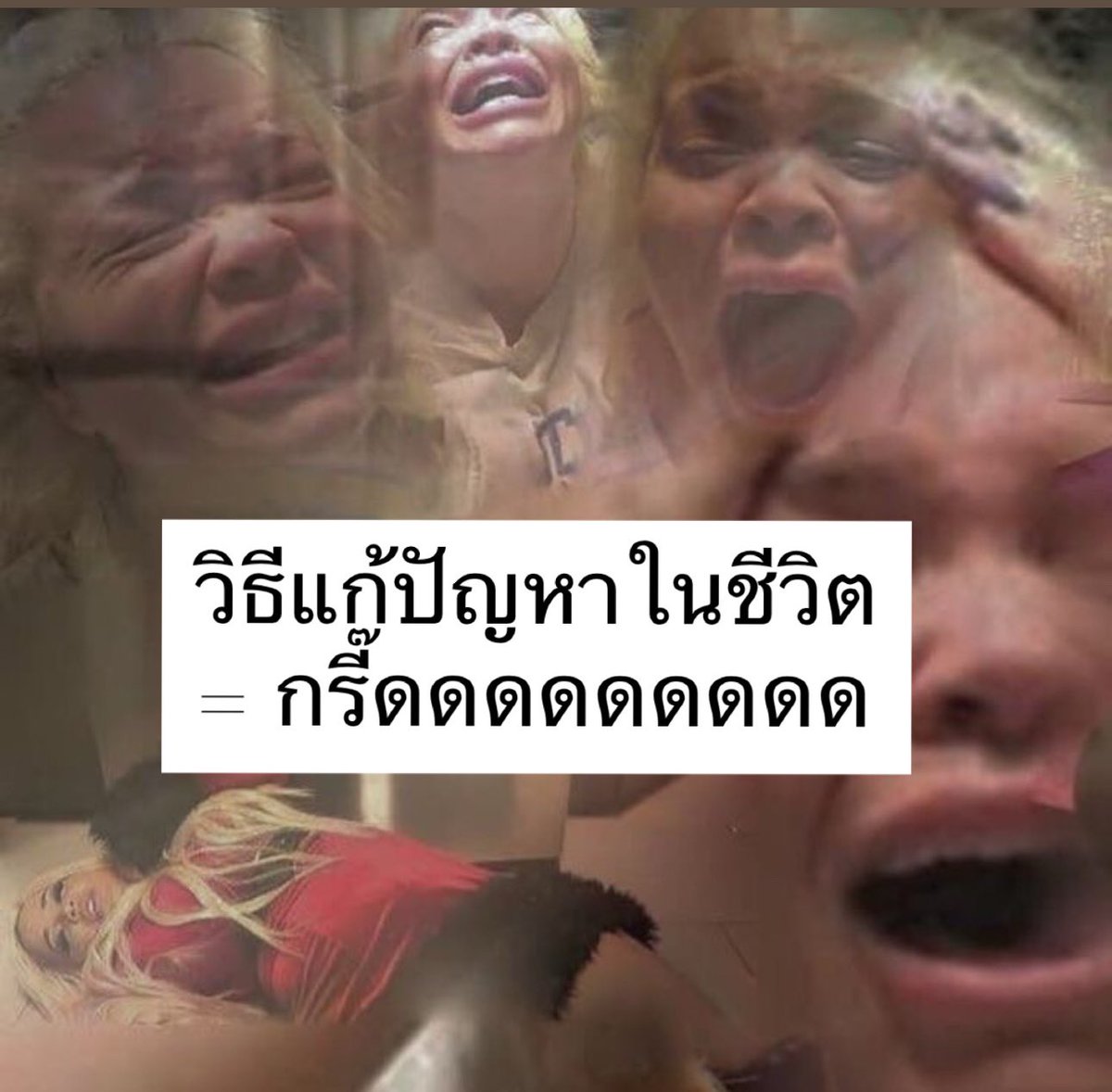 ความจริงง 55555555555555555555555