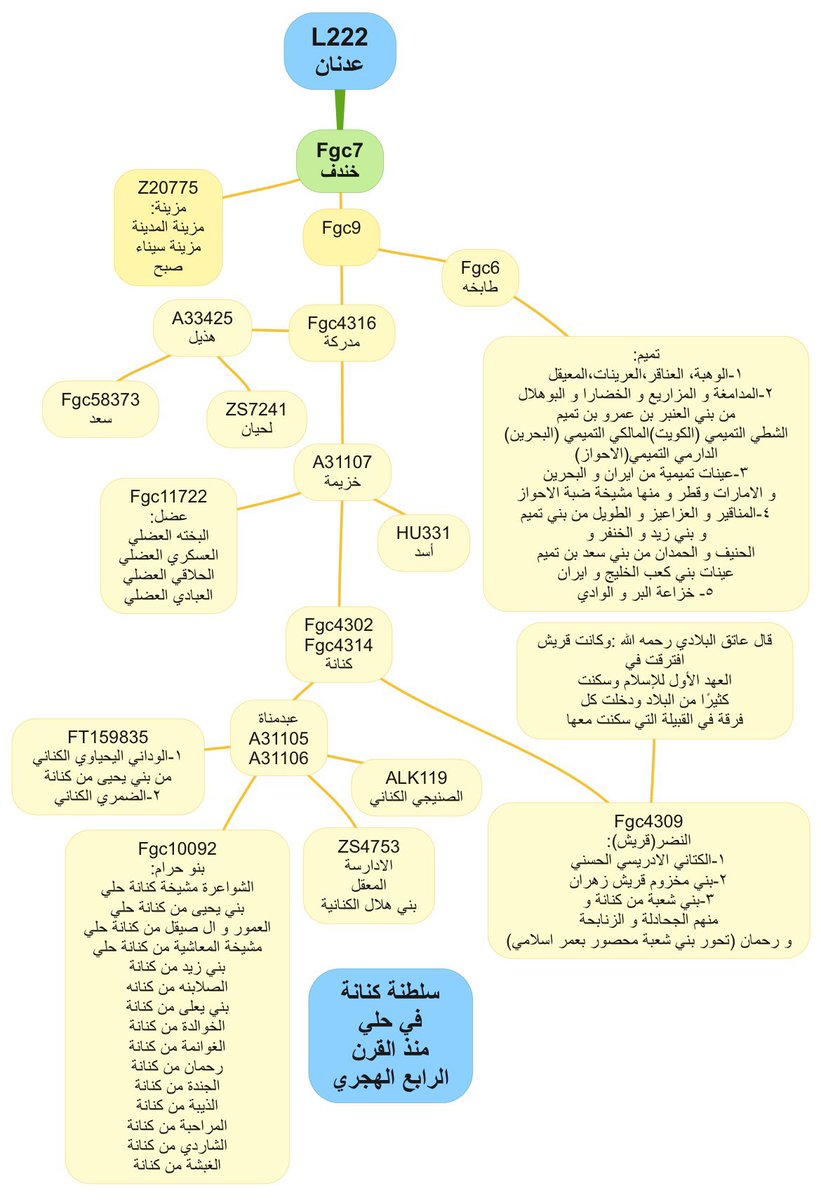 #خِندف

#Fgc7 #Fgc5 
#Fgc1713 #Fgc2 
#By8 #Fgc4415