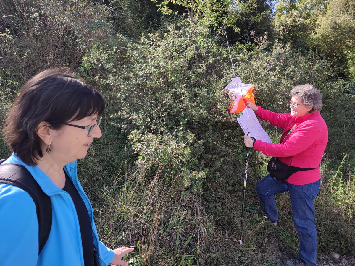 cextona's tweet photo. Tot i el vent de primera hora, vam ser prop d’un centenar de participants els que ens vam animar a sortir a buscar fites. L’ambient es va notar a cada pas: amb complicitats, rialles i alguna aventura improvisada. https://t.co/vgZeRTCKxL