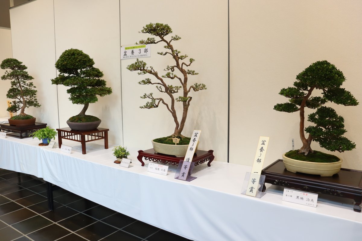 初夏の華展に　花台盆栽台＆裏表朱色✖️黒2色敷板三枚付き 木製 敷板 花台 正角板 黒/朱 10号(30cm)【YG350】 303446_CC397