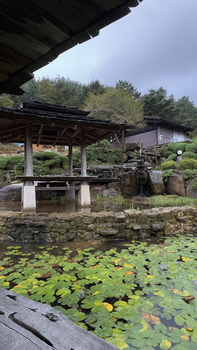 산청 수선사 

조경이 아름다운 절로 모 프로그램에 소개된 적이 있어 엄마가 이번 여행에 꼭 가보고 싶다고 했던 사찰. 실제 사찰은 아담하나(대웅전 한 곳이 건물로 있고, 나머진 석탑과 석불 몇 개가 있다) 조경이 정말 너무너무 아름다웠다... 늦게 도착해 많이 즐기지 못한 게 아쉬워